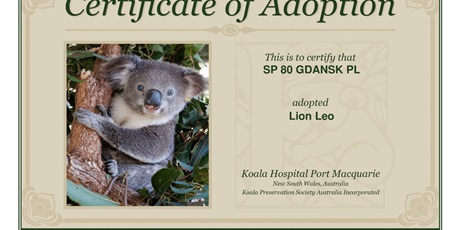 Adopcja koali