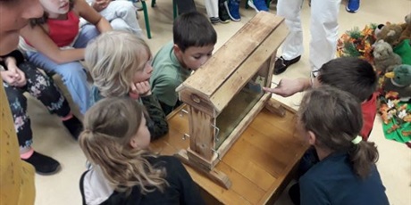 Powiększ grafikę: Dzieci oglądają szklany ul z pszczołami.
