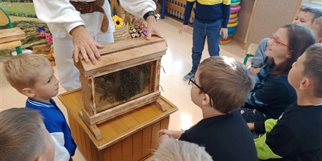 Powiększ grafikę: Dzieci oglądają szklany ul z pszczołami.