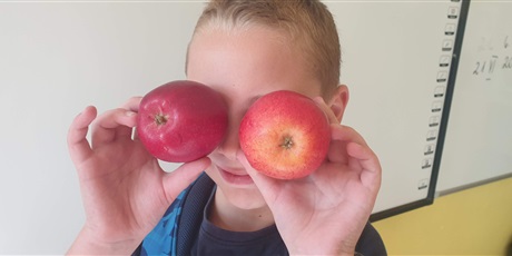 Powiększ grafikę: Chłopiec pozuje z jabłkami
