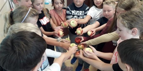 Powiększ grafikę: Uczniowie stoją z jabłkami i podziwiają i porównują kolory.