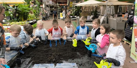 Powiększ grafikę: Każde dziecko sądzi nasionka,cebulki kwiatów  do swojej doniczki.