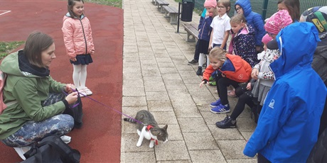 Powiększ grafikę: Dzieci zgromadzone na boisku szkolnym patrzą na kotka swojej koleżanki, wysłuchują opowieści o nim.
